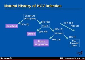 4 phases of HCV infection: Acute, Chronic, Cirrhosis, & De-compensation/Failure