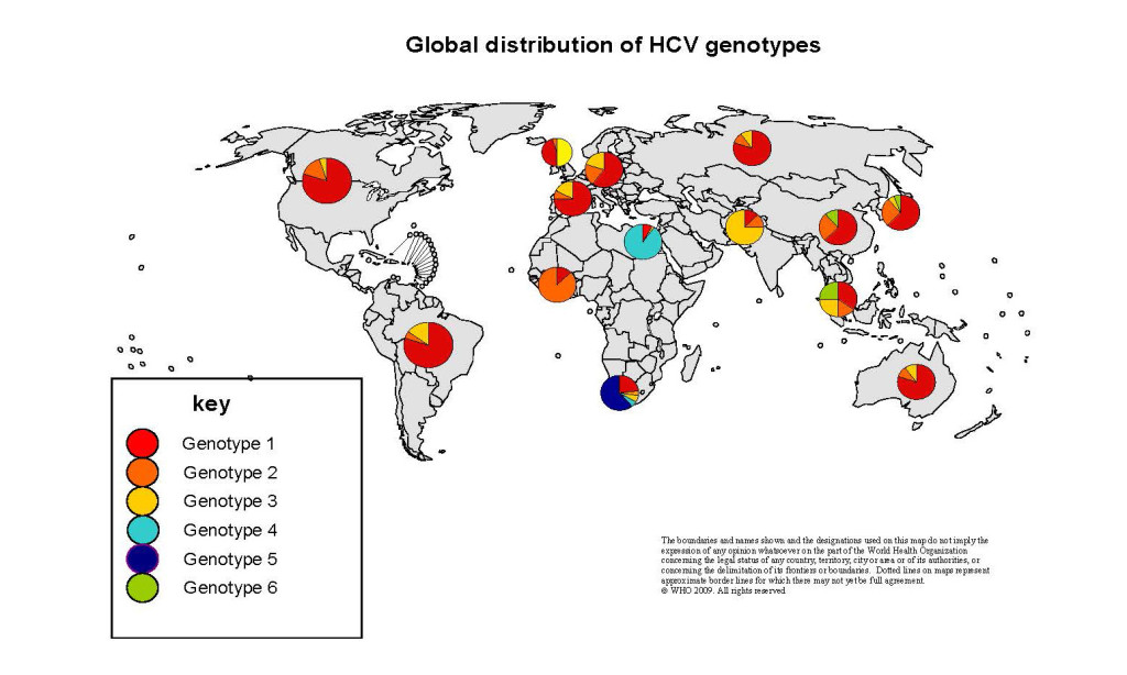 GlobalDist_HCV_genotypes